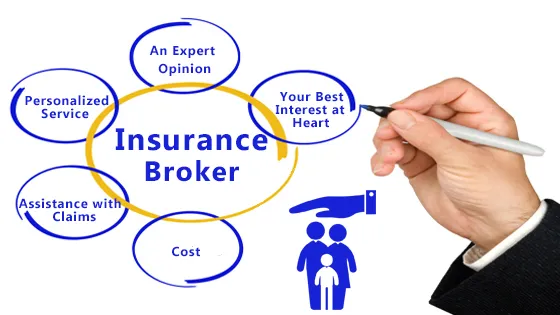 Explaining the Contrast Between a Direct Insurer and an Insurance Broker